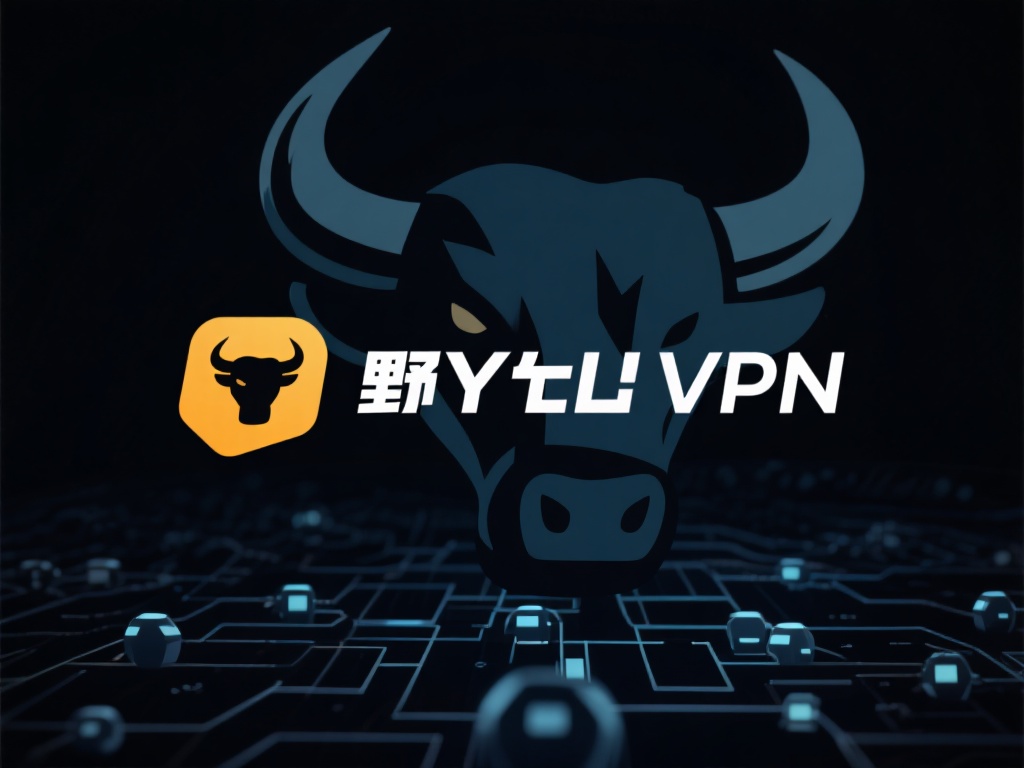 为什么选择野牛VPN
在众多VPN产品中，野牛V