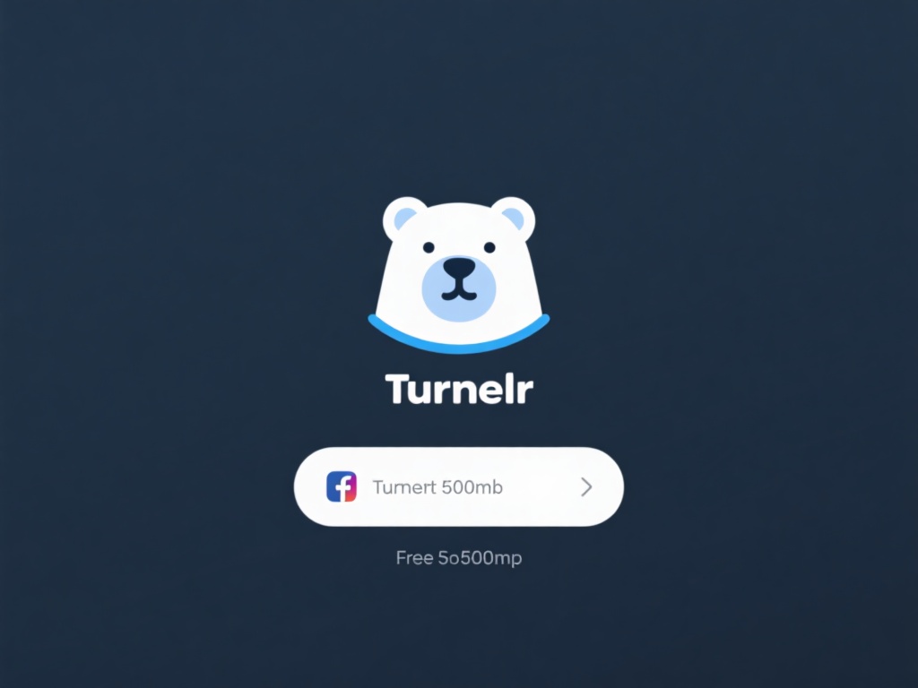 TunnelBear：容易上手且界面友好。免费版提